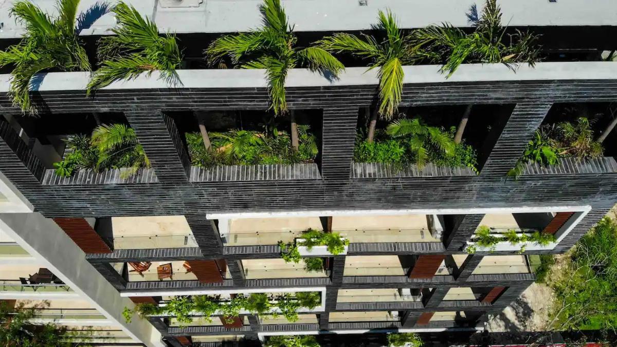 Stayon5A.Av.Penthouse With Privatepool Freeparking Playa del Carmen Exteriör bild